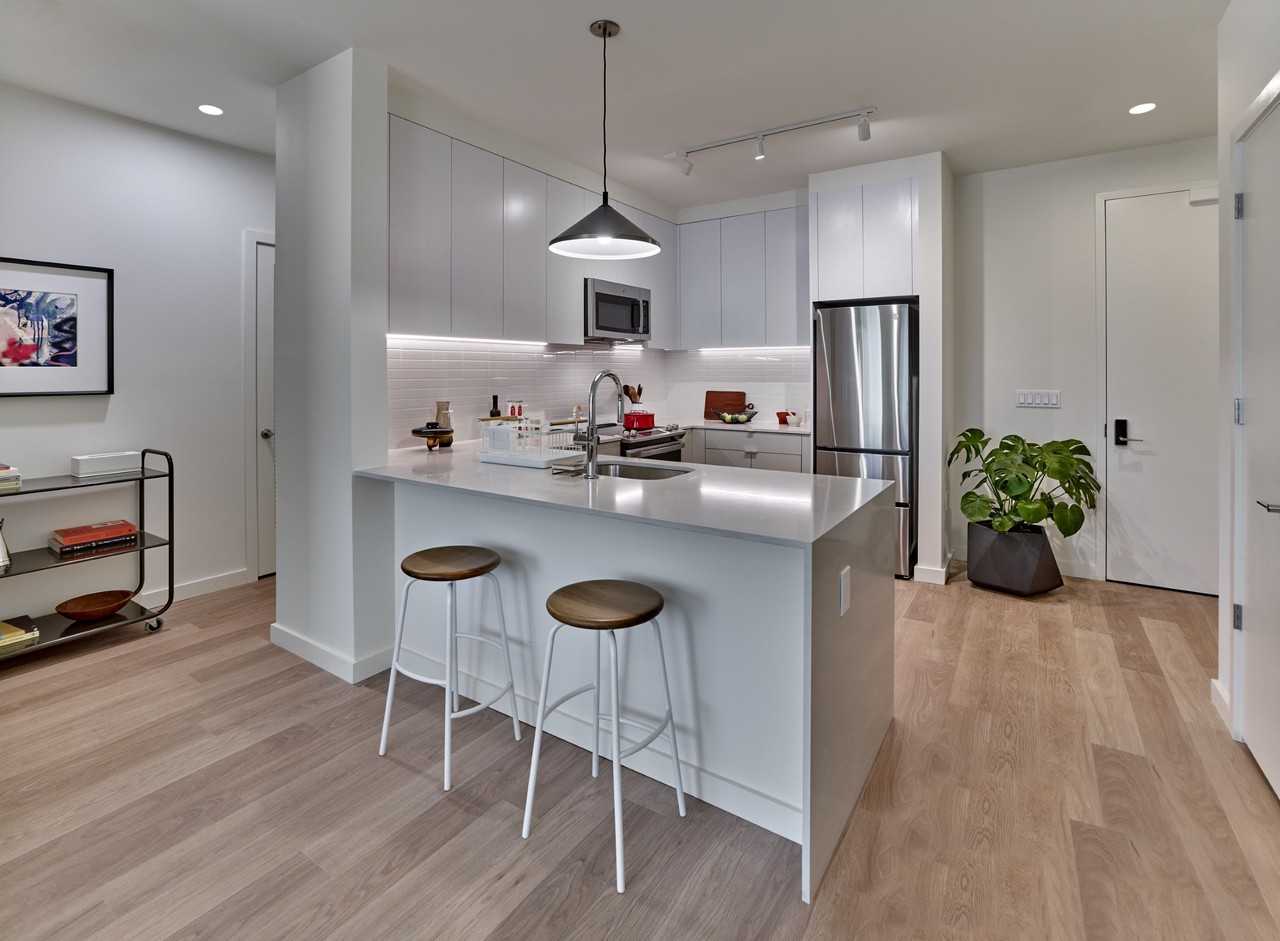 Starling - Photo 7 of 20