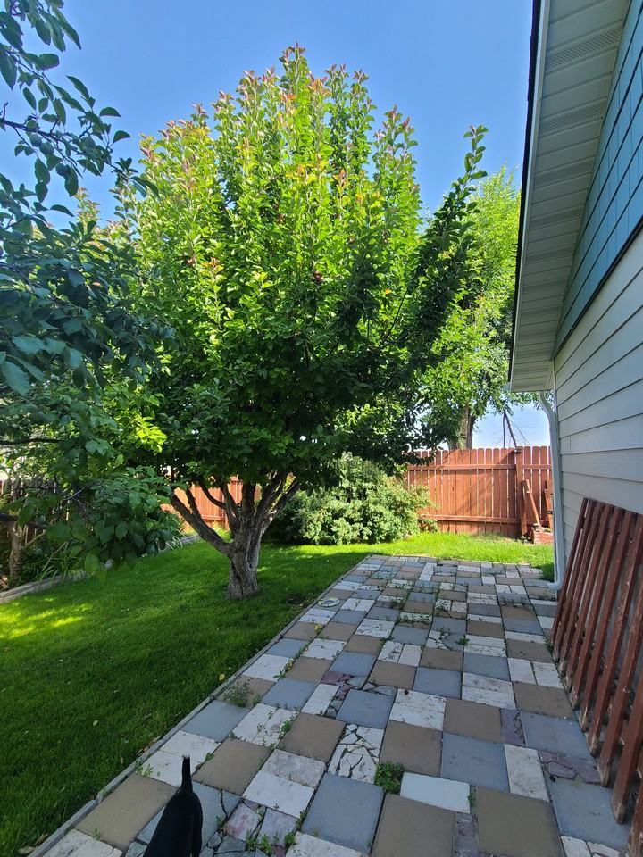 2101 Bramble Ct #NA - Photo 2 of 3