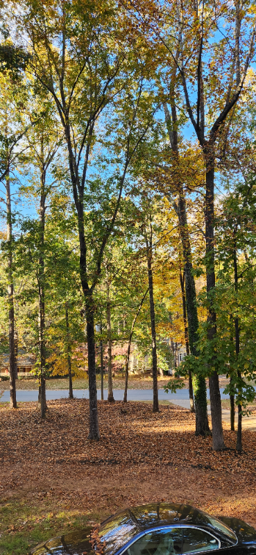 671 Peach Crossing Dr - Photo 3 of 22