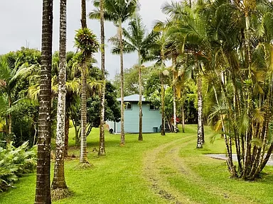 13-1231 Malama St - Photo 2 of 20