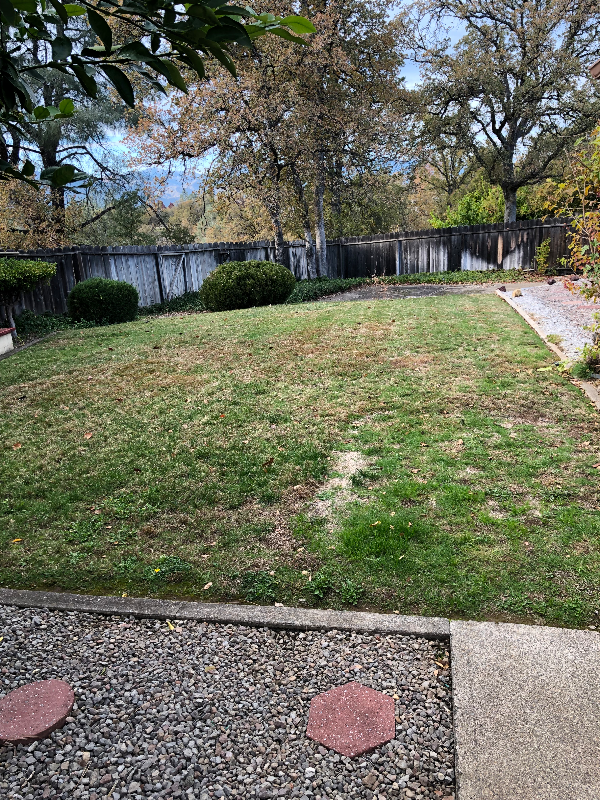 750 Oleta Dr - Photo 2 of 20