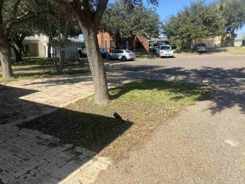 405 Wren Pt #NA - Photo 3 of 10