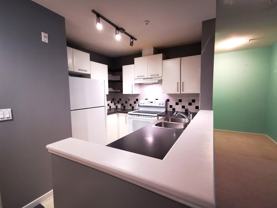 6893 Prenter Street #315 - Photo 1 of 1