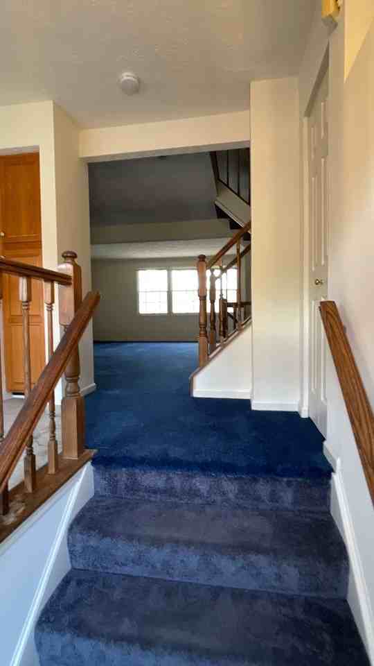 7052 Timberfield Pl - Photo 2 of 29