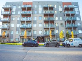 20 Orchid Place Drive #204 - Photo 1 of 1