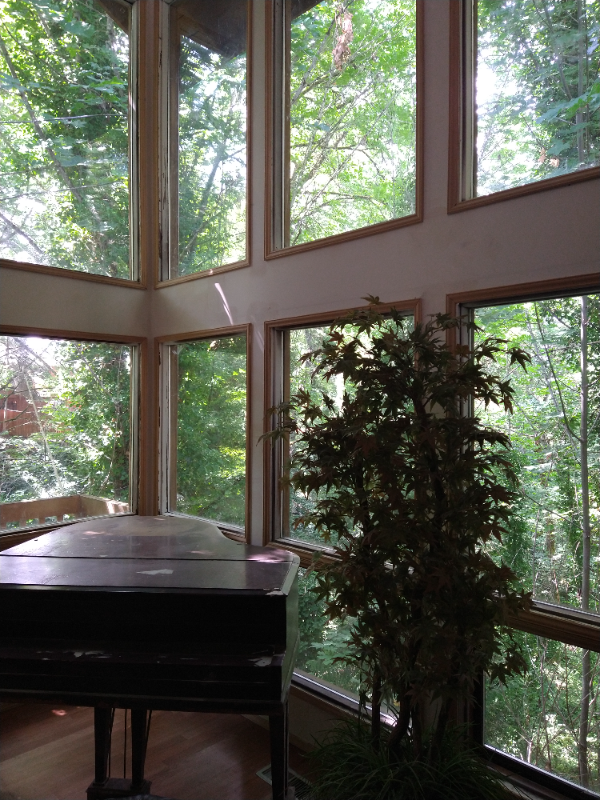 4605 123rd Ave Se - Photo 5 of 5