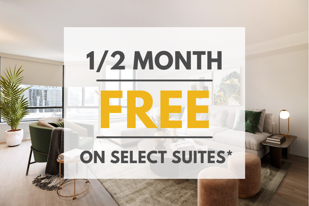 Apartments for Rent In Downtown Ottawa, Ottawa, ON Find Condos