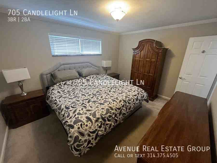 705 Candlelight Ln - Photo 3 of 11