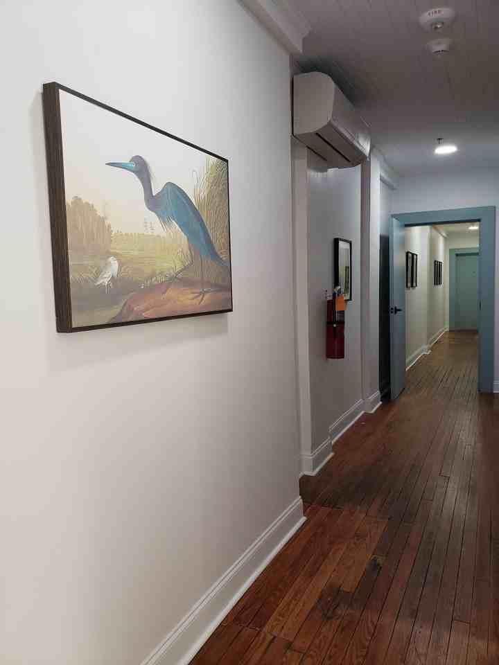 300 300 Laurel StreetUnit 5 #5 - Photo 3 of 23