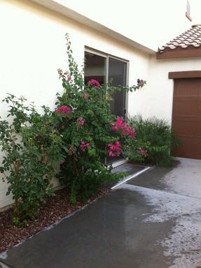 3543 E Tyson Ct - Photo 3 of 14