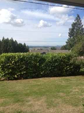 20461 Comet Ln - Photo 2 of 18