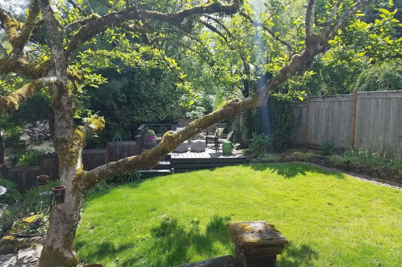 1605 Meadows Dr - Photo 2 of 34