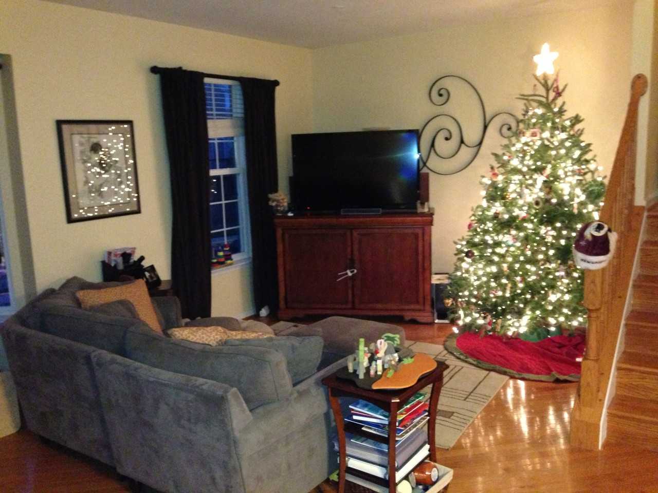 1059 Carbondale Way - Photo 2 of 11