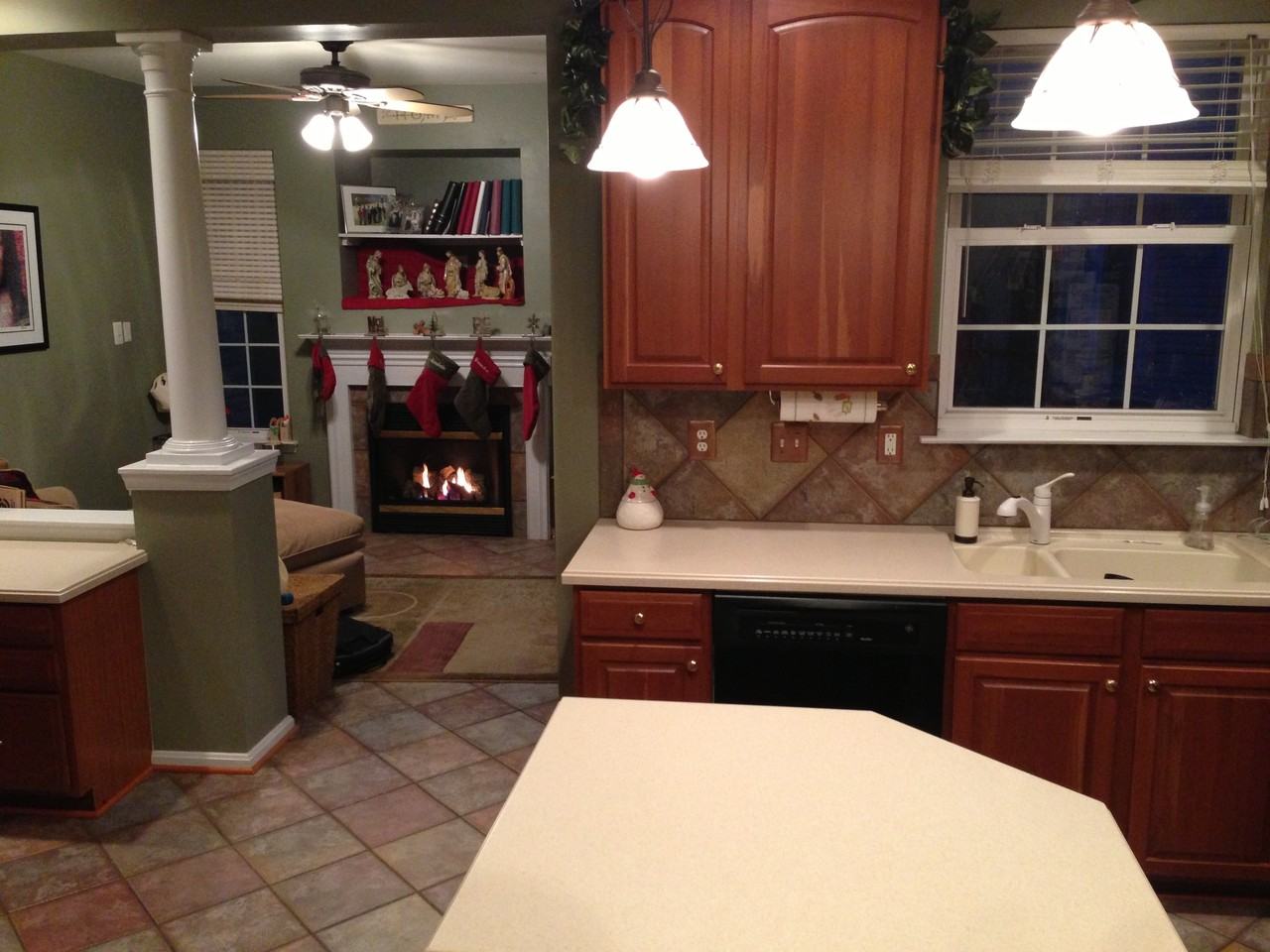 1059 Carbondale Way - Photo 3 of 11