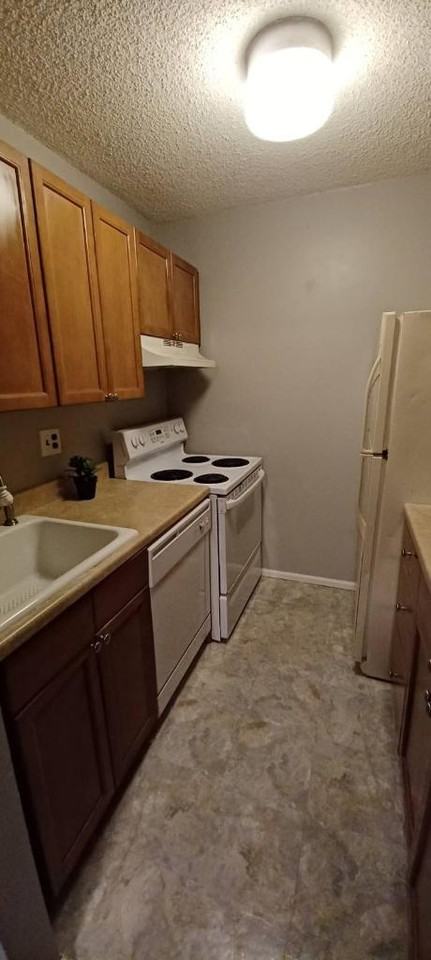 43 Heavenly Valley Ct #NA - Photo 3 of 9