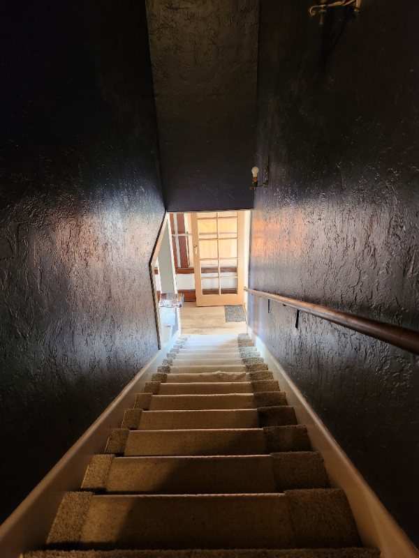 217 Angelus St - Photo 3 of 9