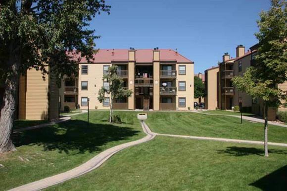 Sienna at Cherry Creek - Photo 3 of 12