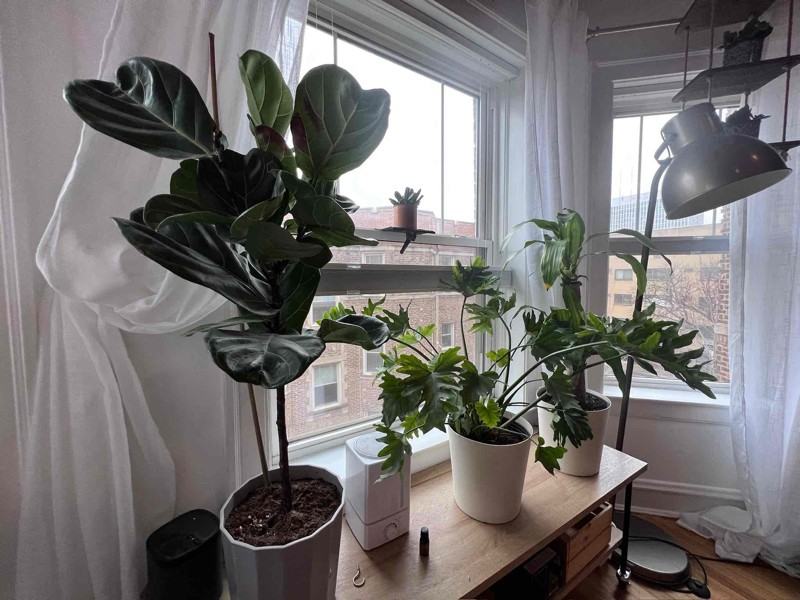 541 W Addison St #3S - Photo 5 of 16