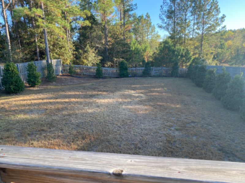 11680 Alameda Ct - Photo 2 of 7