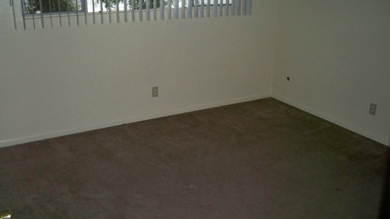 2303 Skylark Dr - Photo 3 of 13