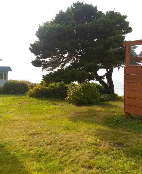 914 Sw Waziyata Ave - Photo 3 of 12