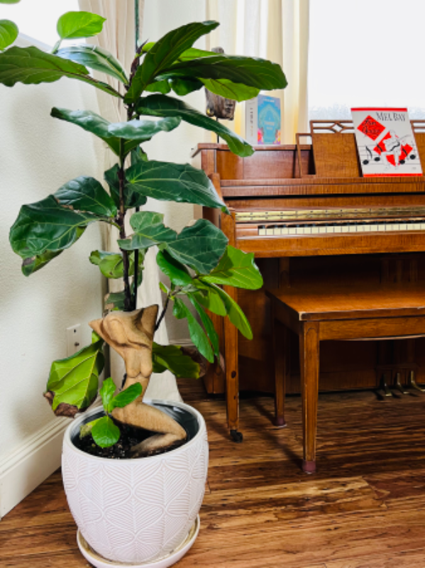 211 Norton St #211MAIN - Photo 5 of 8