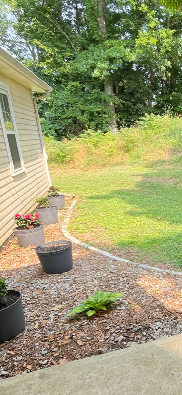 2498 Old Charlotte Pike - Photo 3 of 24