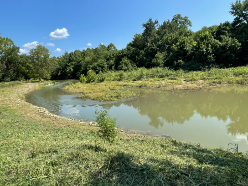 2498 Old Charlotte Pike - Photo 4 of 24
