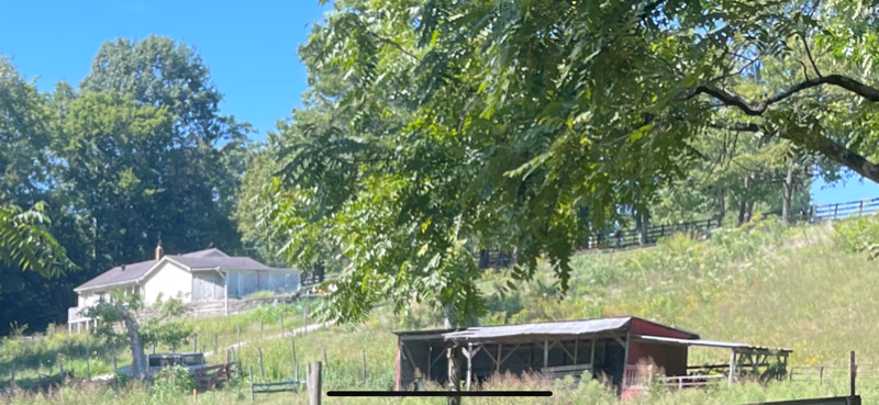 2498 Old Charlotte Pike - Photo 5 of 24