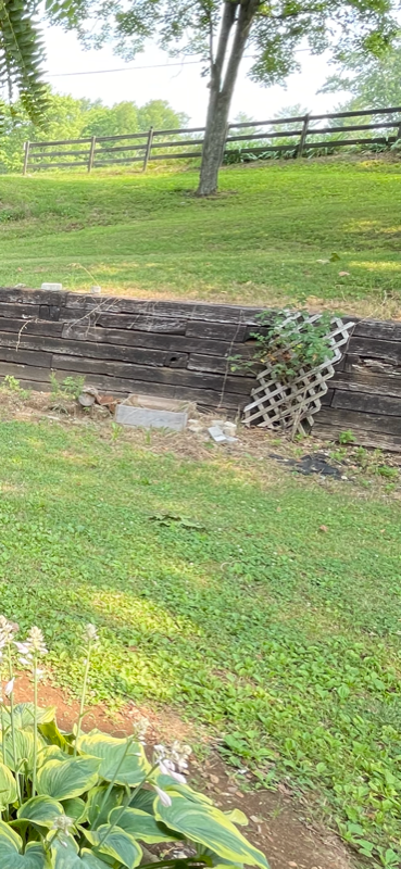 2498 Old Charlotte Pike - Photo 7 of 24