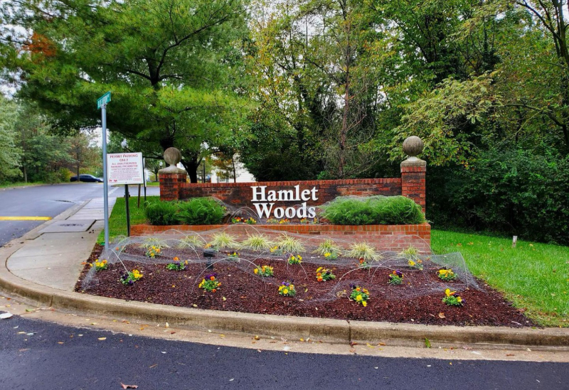 4409 Blue Heron Way - Photo 2 of 21