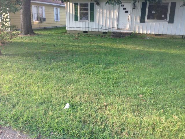 705 Rollison St - Photo 2 of 29