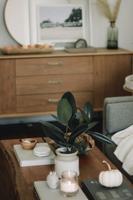 featured image of 301 N Miracle Dr