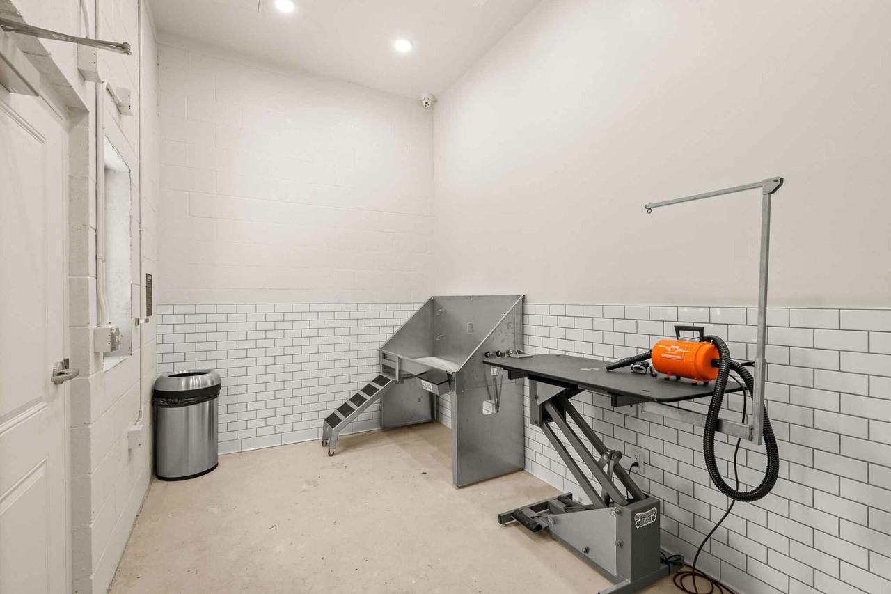 Modera Lacey - Photo 7 of 38