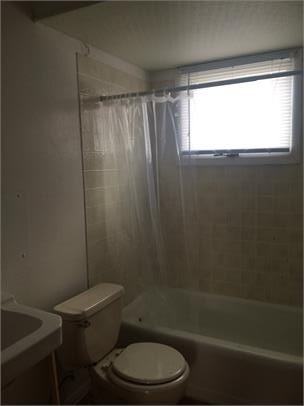 243 Miriam Dr #C - Photo 2 of 13