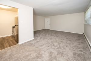 featured image of 345 E County Line Rd