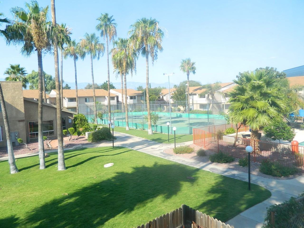Shadowtree Apartment Homes - Photo 4 of 50