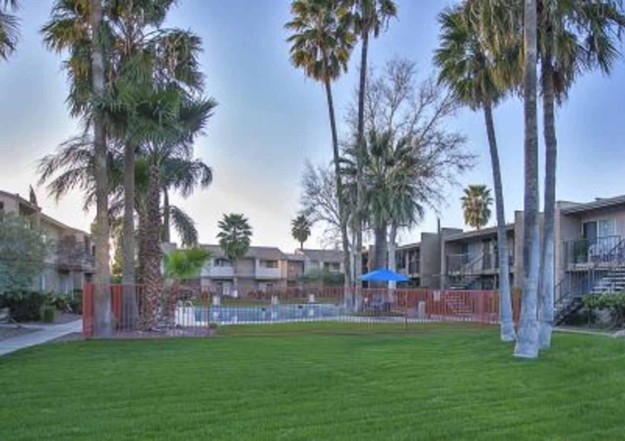 Shadowtree Apartment Homes - Photo 6 of 50