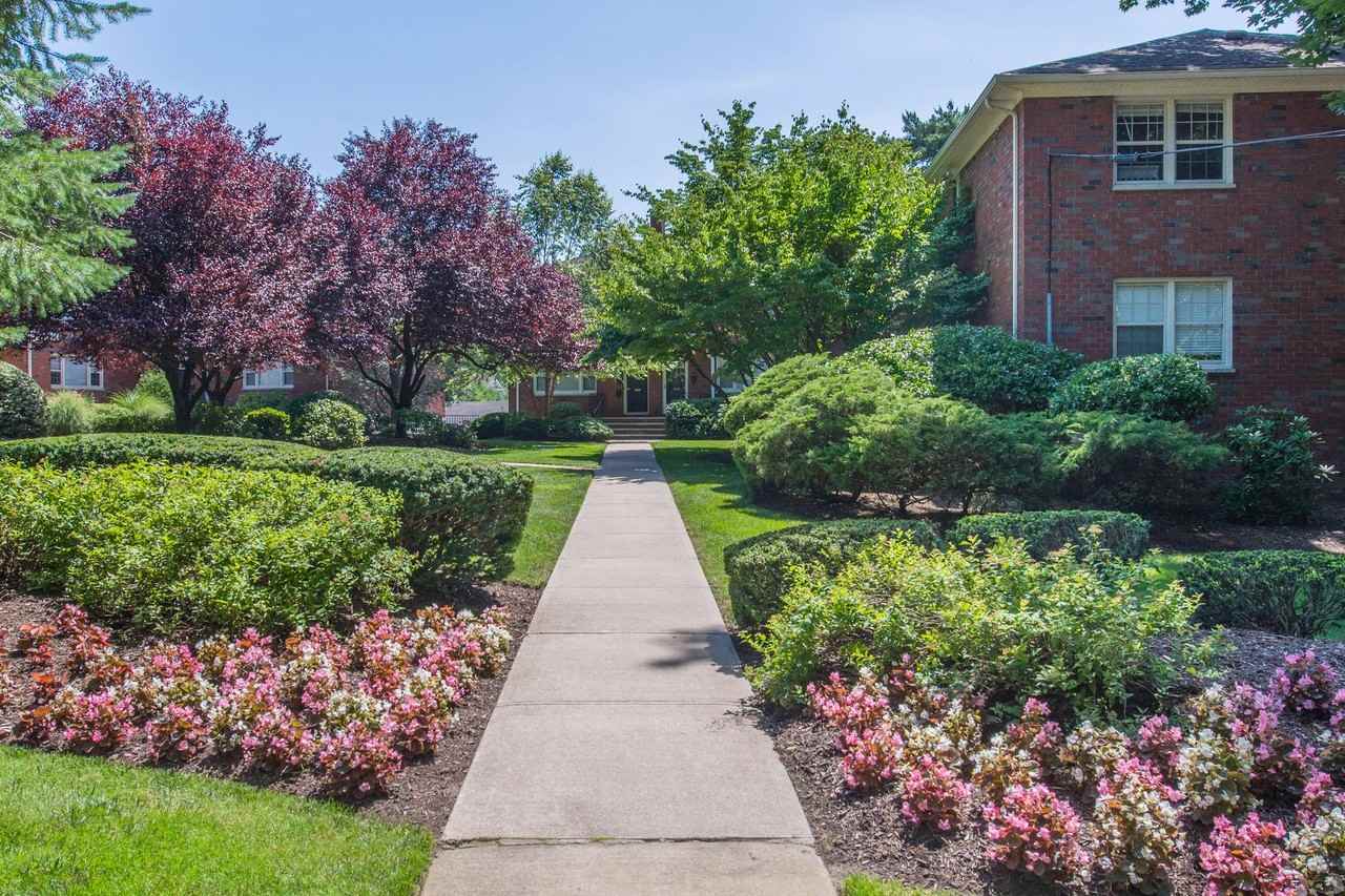 The East Hill: In - Photo 3 of 24