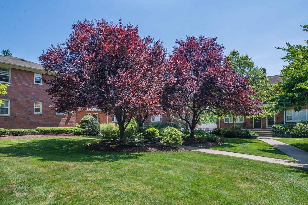 The East Hill: In - Photo 4 of 24