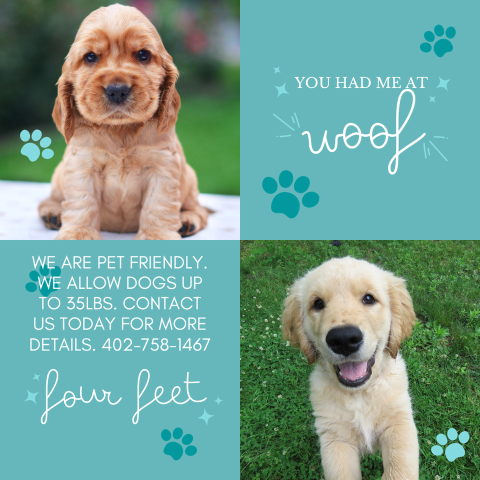 Lofts on Main - Photo 3 of 50