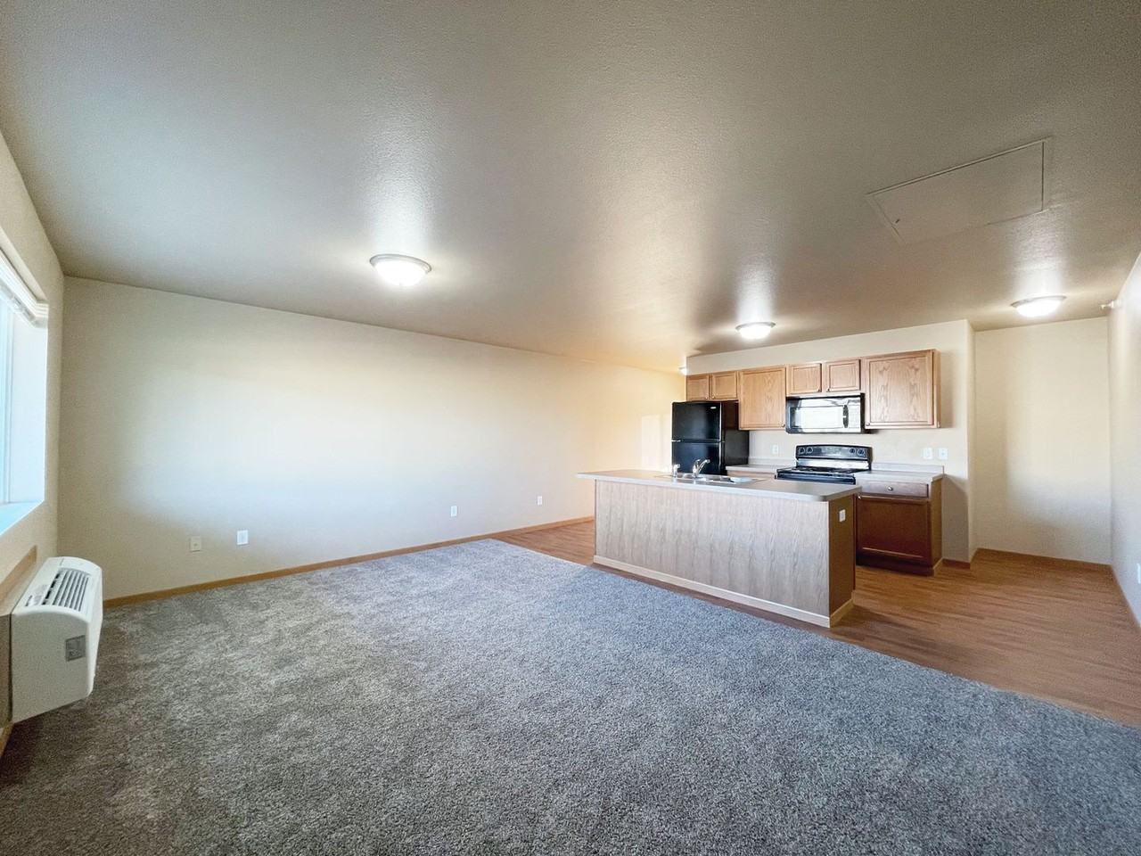 Remington - Photo 4 of 13