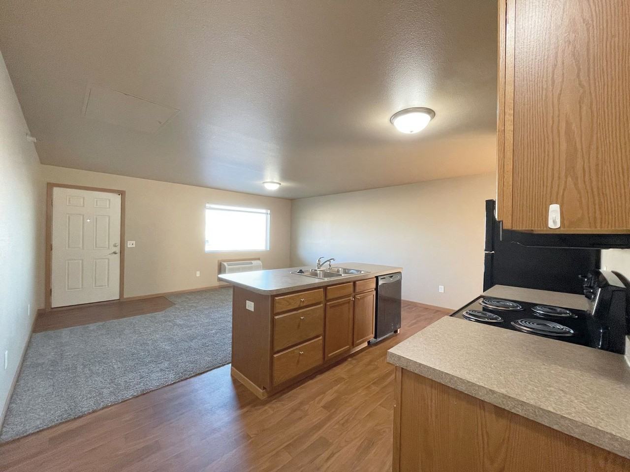 Remington - Photo 7 of 13