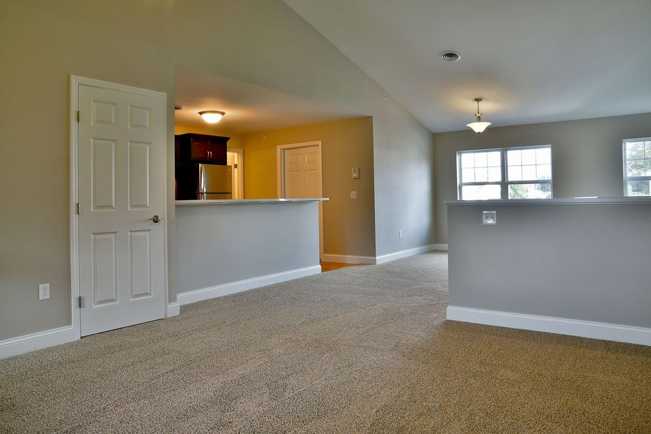 Meadows, Hickory Grove Apartments - Photo 4 of 50