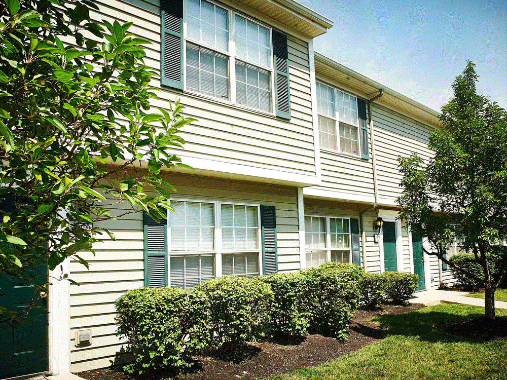 Spring Hill marketing - Photo 2 of 21