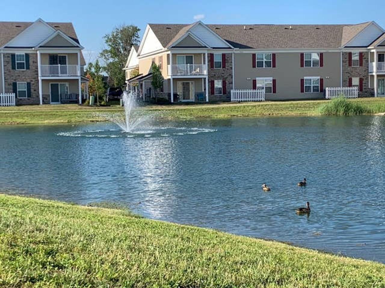 The Square at Latham Park - Photo 4 of 50