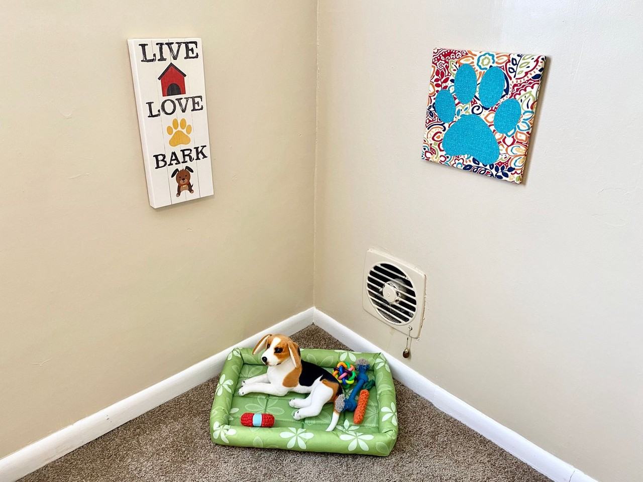 Phoenix - Photo 4 of 50