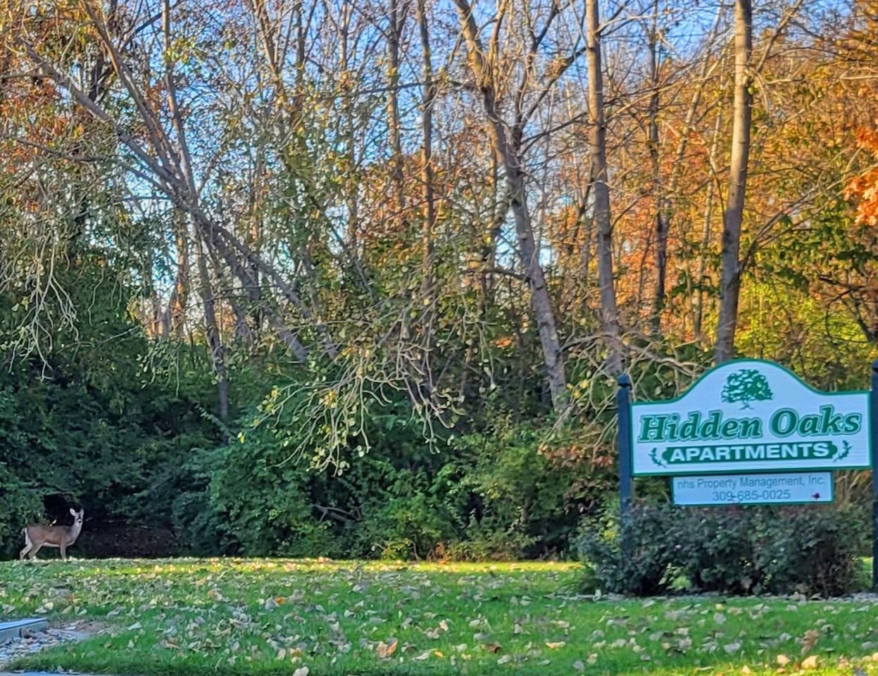 Hidden Oaks Apartments - Photo 2 of 3