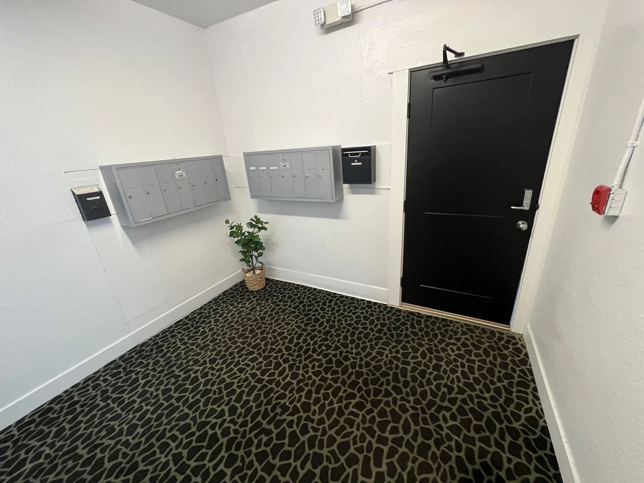 Adams Apartments - Photo 3 of 3