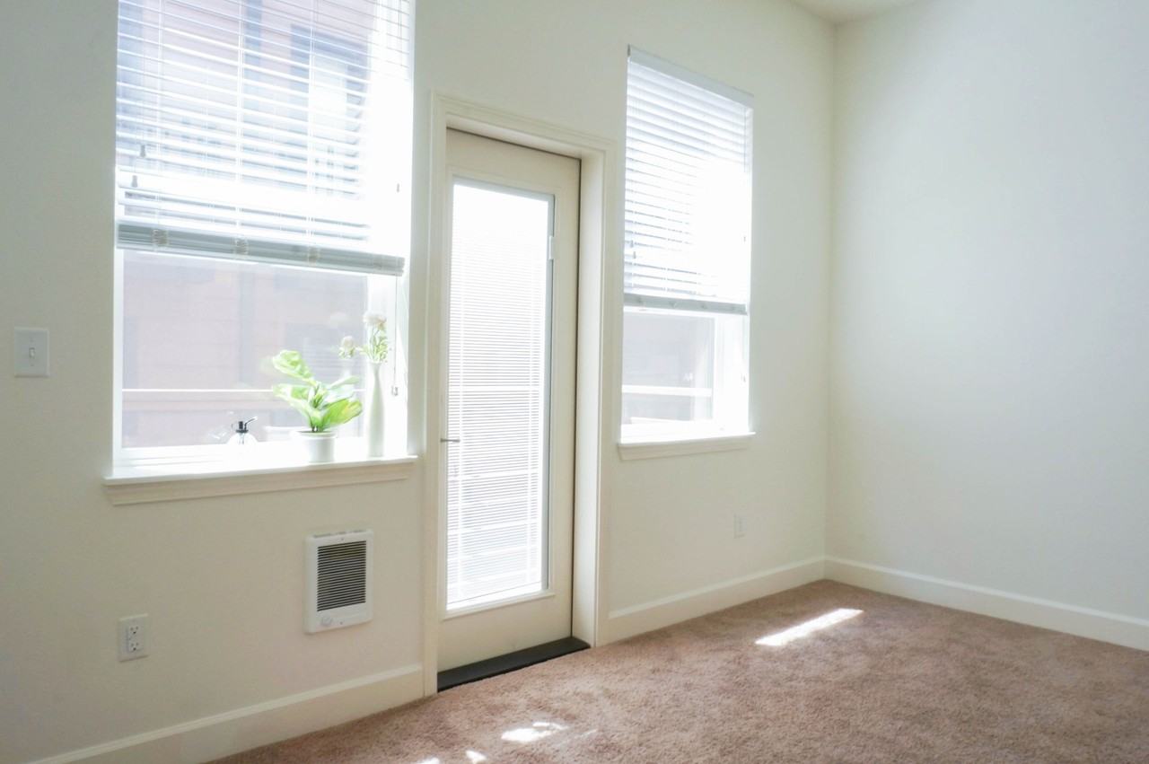 Sippi - Photo 2 of 36